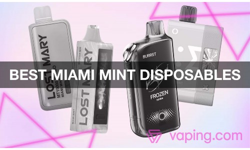 How Do the Best Concentrate Vaporizers of 2025 Enhance Your Vaping Experience? What Sets the PAX Plus and Da Vinci IQ2 Apart in Performance and Flavor?